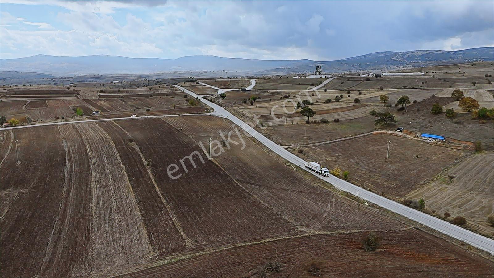 Bilecik Bozüyük Dodurga Beldesinde Asfalt Cephe 8920 Metre Tarla - Görsel 9