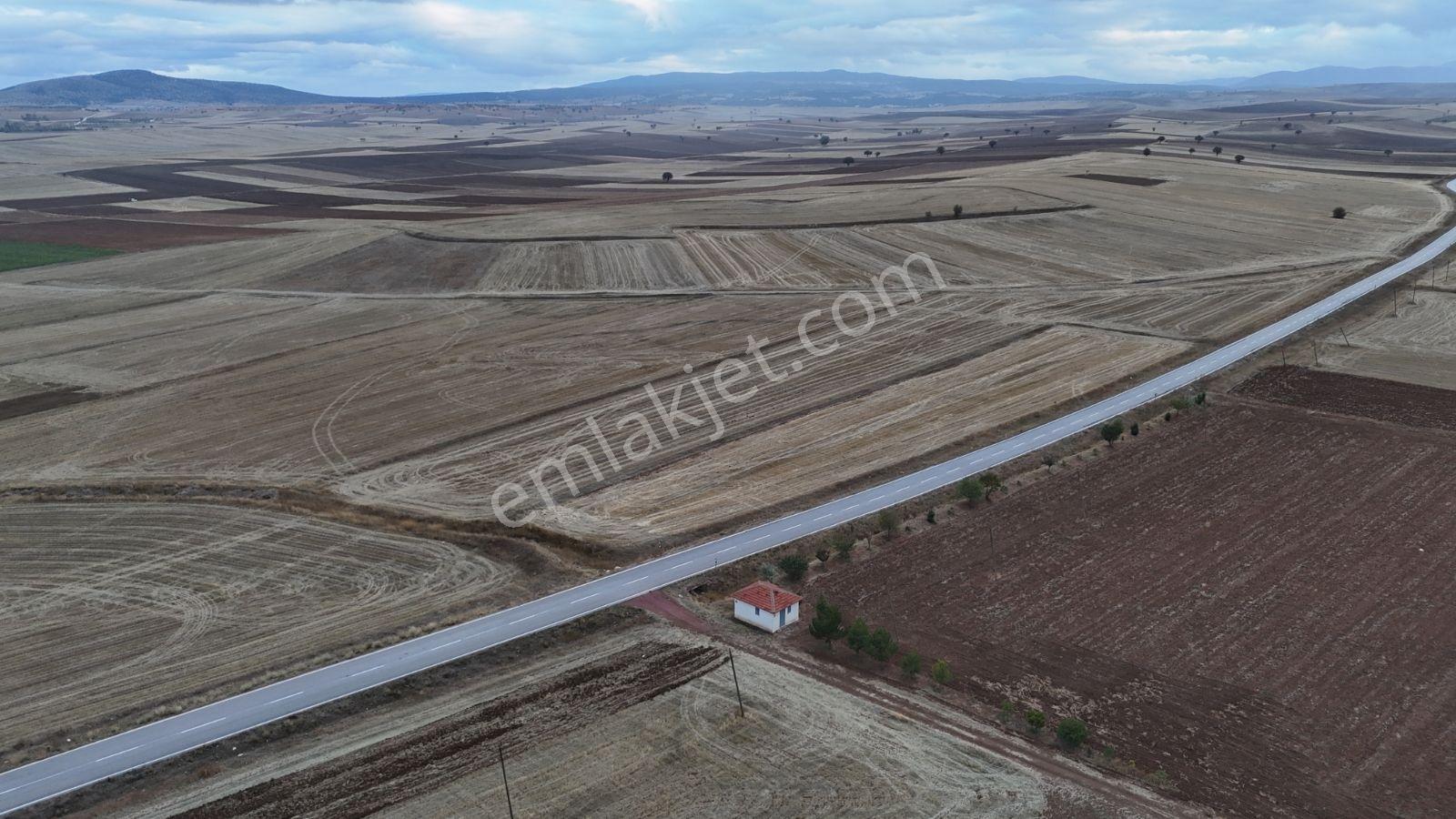 Kütahya Aslanapa İlçe Merkezinde Resmi Yola Cephe Fırsat Arazi - Görsel 12