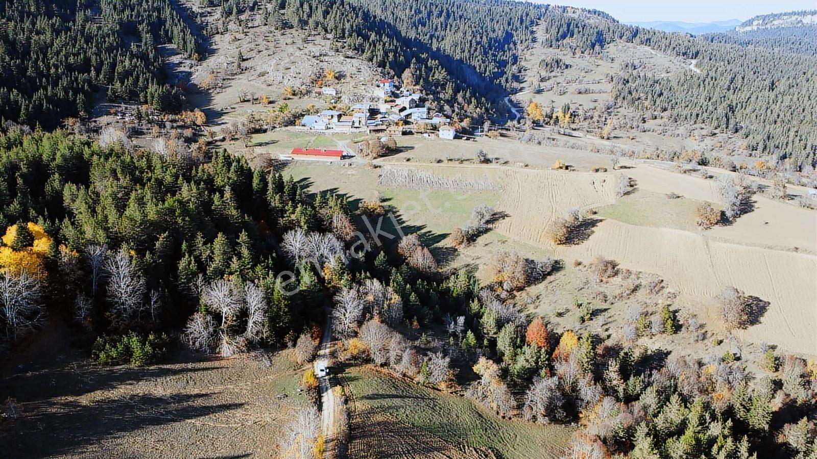 Kastamonu Ağlı Merkez 2600 M2 Resmi Yol Köye 200 Metre Mesafede - Görsel 4