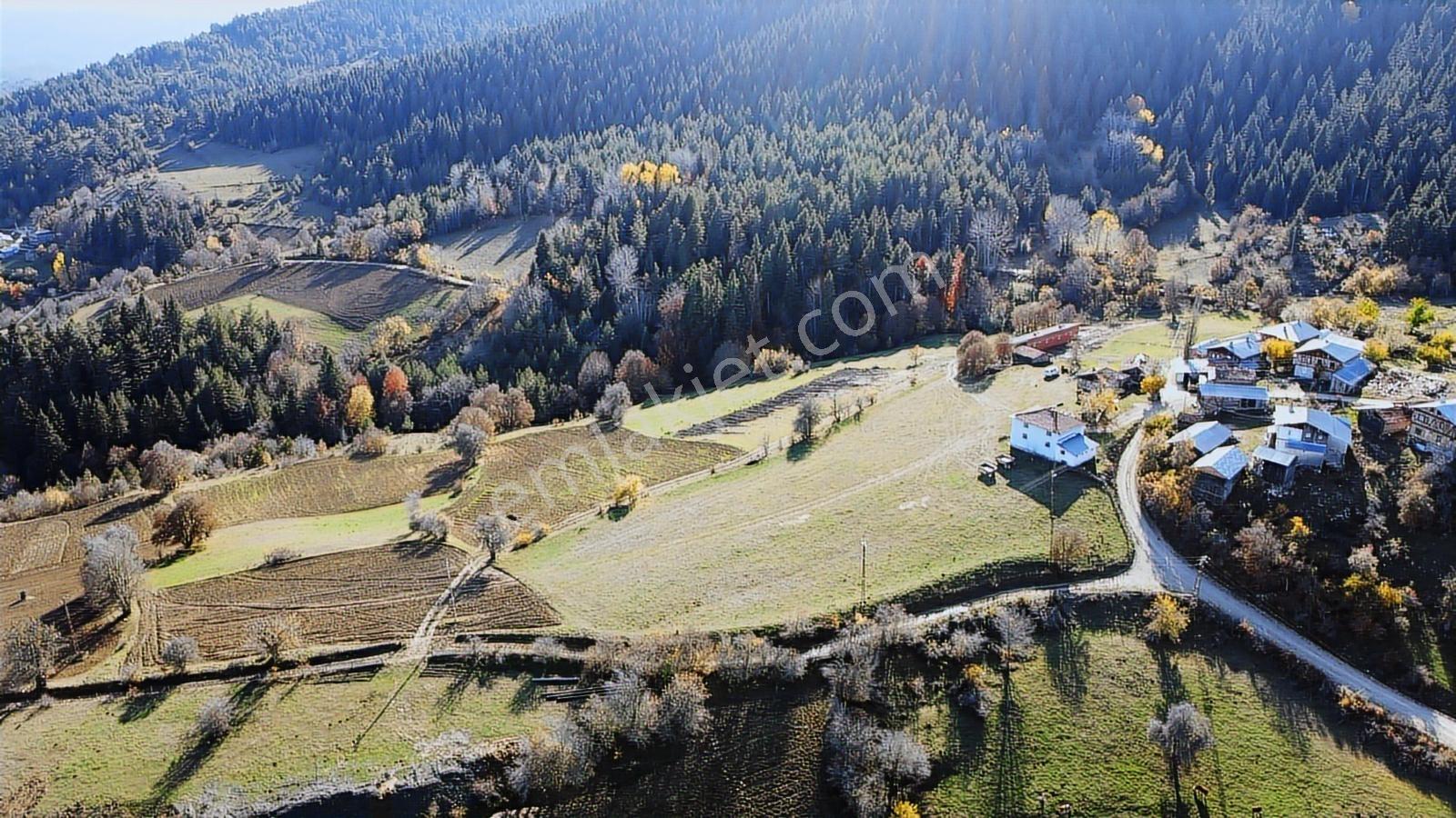 Kastamonu Ağlı Merkez 2600 M2 Resmi Yol Köye 200 Metre Mesafede