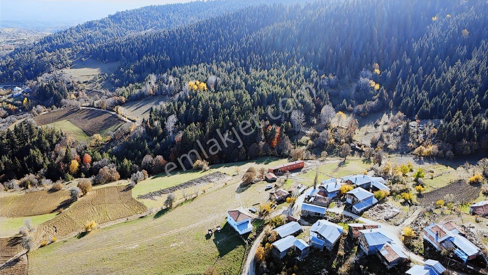 Kastamonu Ağlı Merkez 2600 M2 Resmi Yol Köye 200 Metre Mesafede - Görsel 26