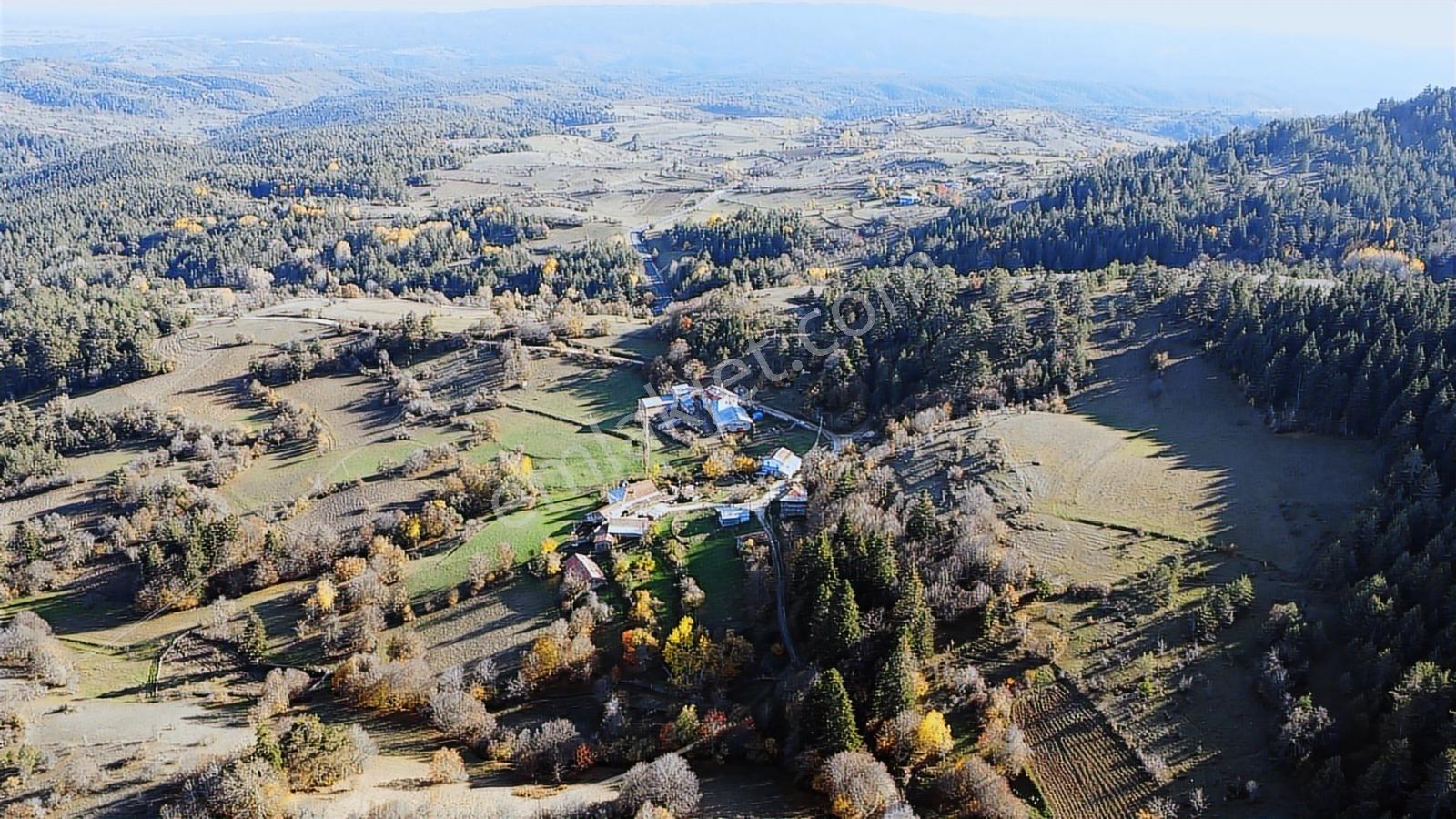 Kastamonu Ağlı Merkez 2600 M2 Resmi Yol Köye 200 Metre Mesafede - Görsel 17