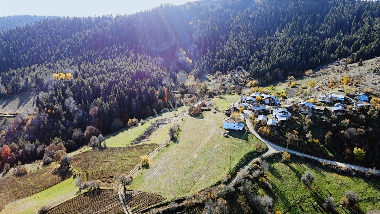 Kastamonu Ağlı Merkez 2600 M2 Resmi Yol Köye 200 Metre Mesafede - Görsel 35