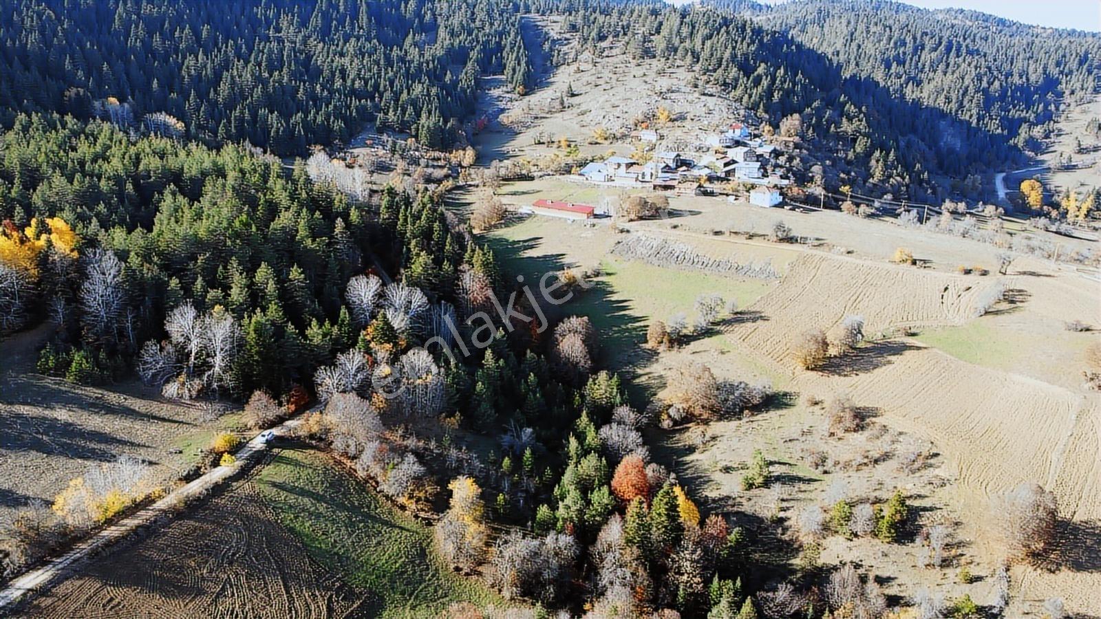 Kastamonu Ağlı Merkez 2600 M2 Resmi Yol Köye 200 Metre Mesafede - Görsel 10