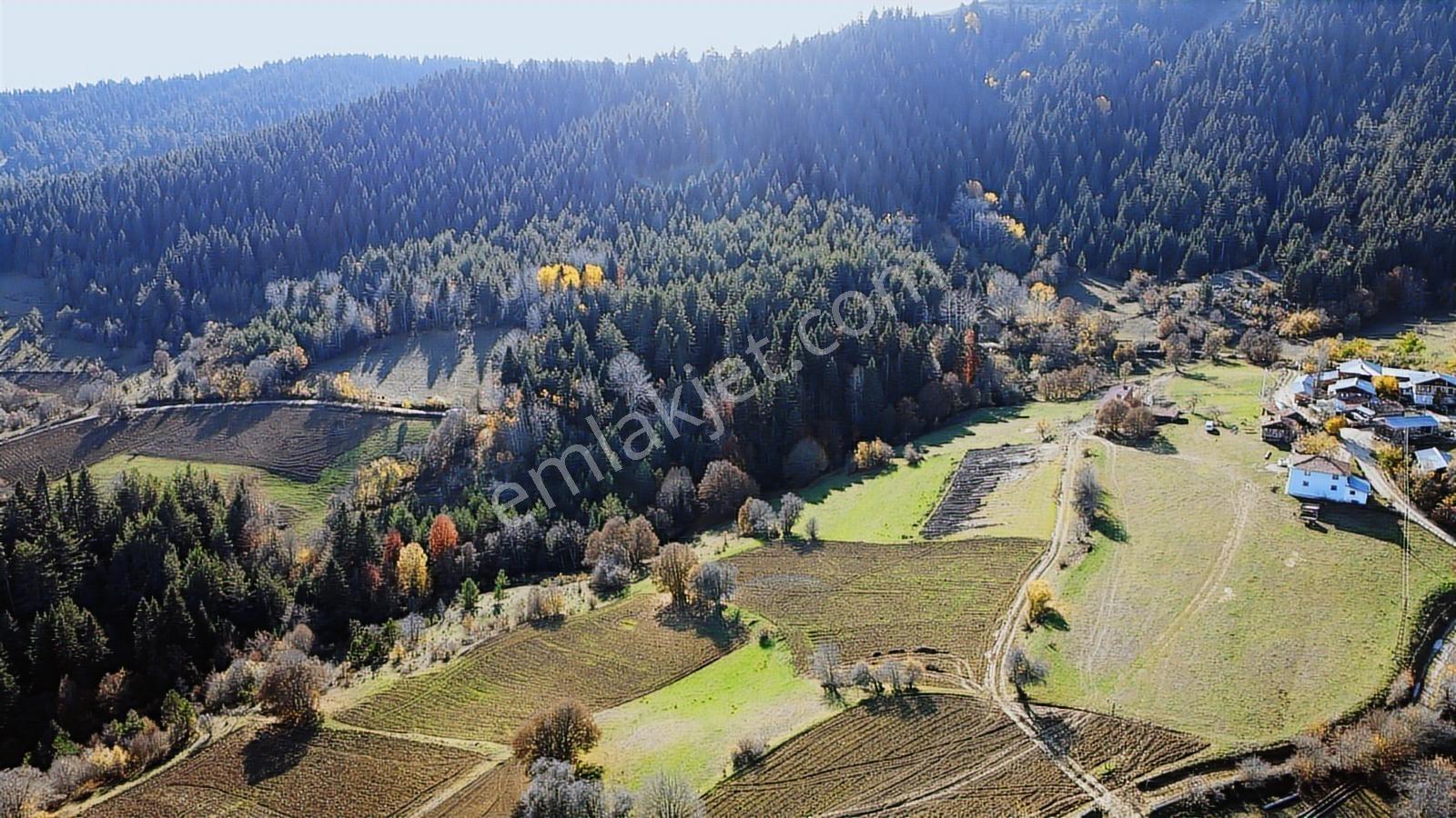 Kastamonu Ağlı Merkez 2600 M2 Resmi Yol Köye 200 Metre Mesafede - Görsel 21