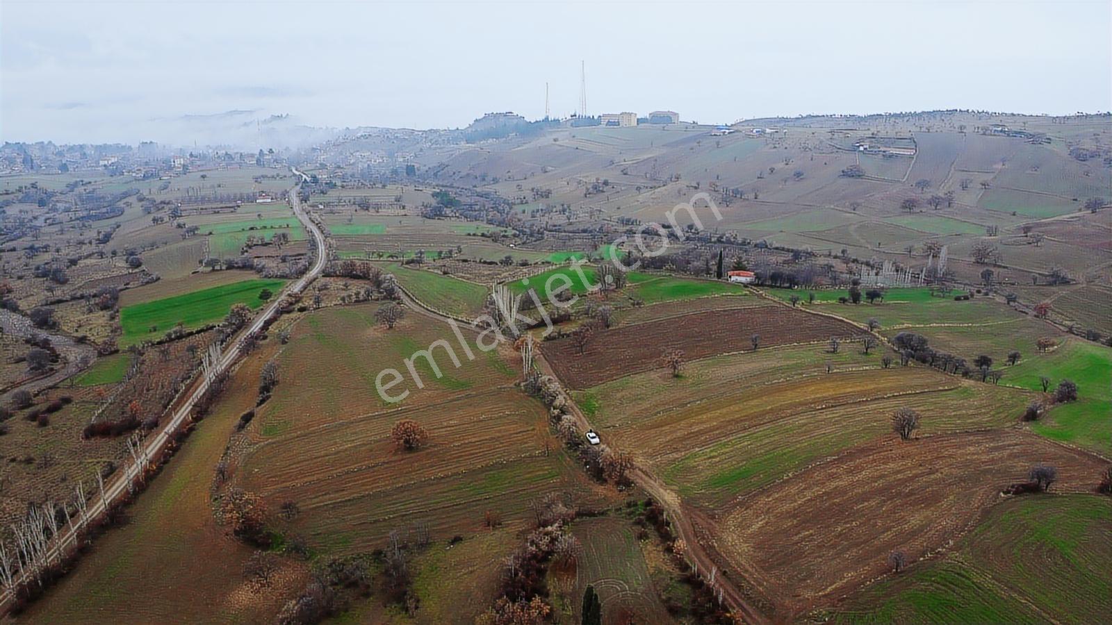 Çorum Laçin Narlı Köyünde 2166 Metre Resmi Yola Cephe Köye 900mt - Görsel 14