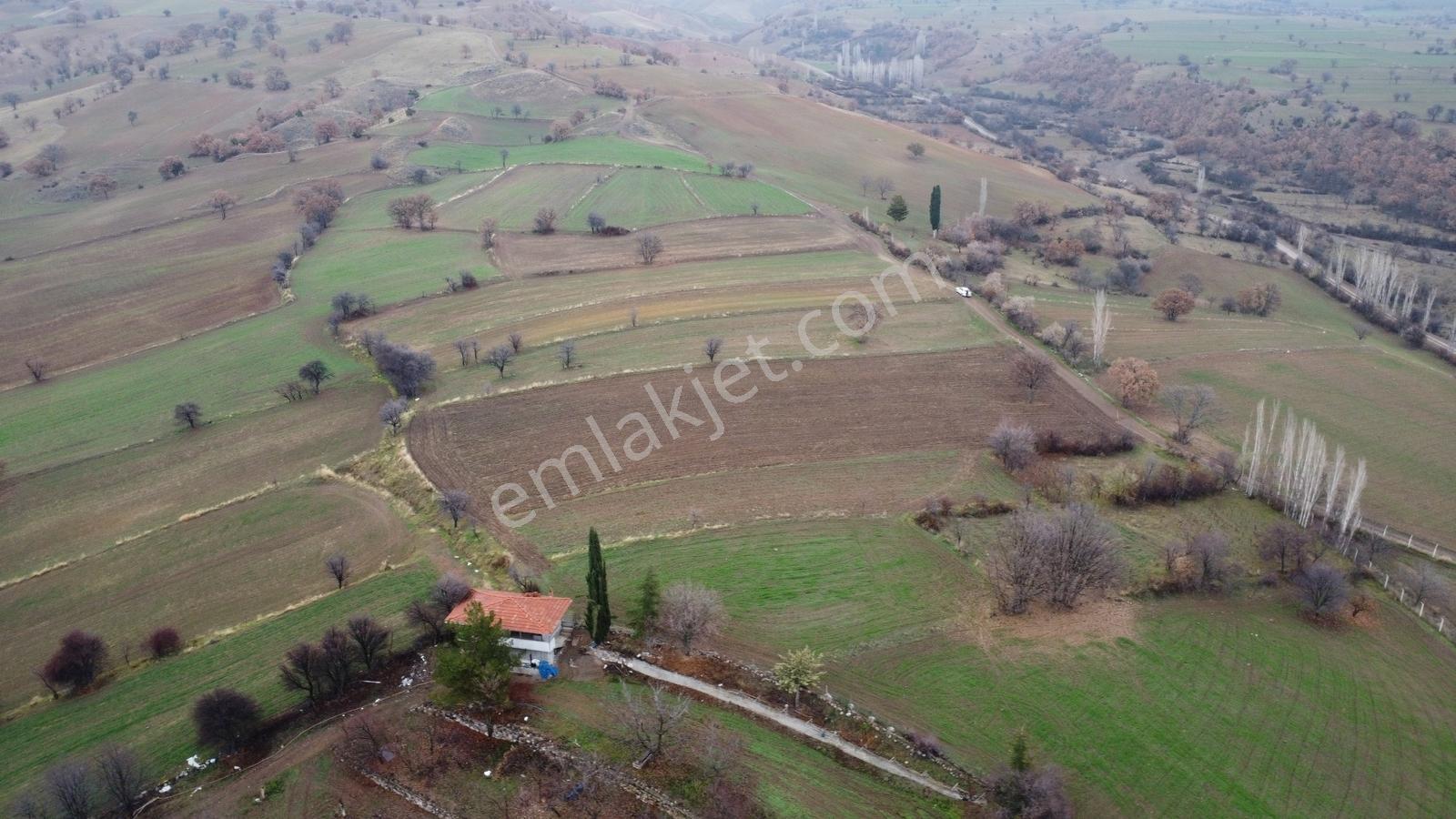 Çorum Laçin Narlı Köyünde 2166 Metre Resmi Yola Cephe Köye 900mt - Görsel 5
