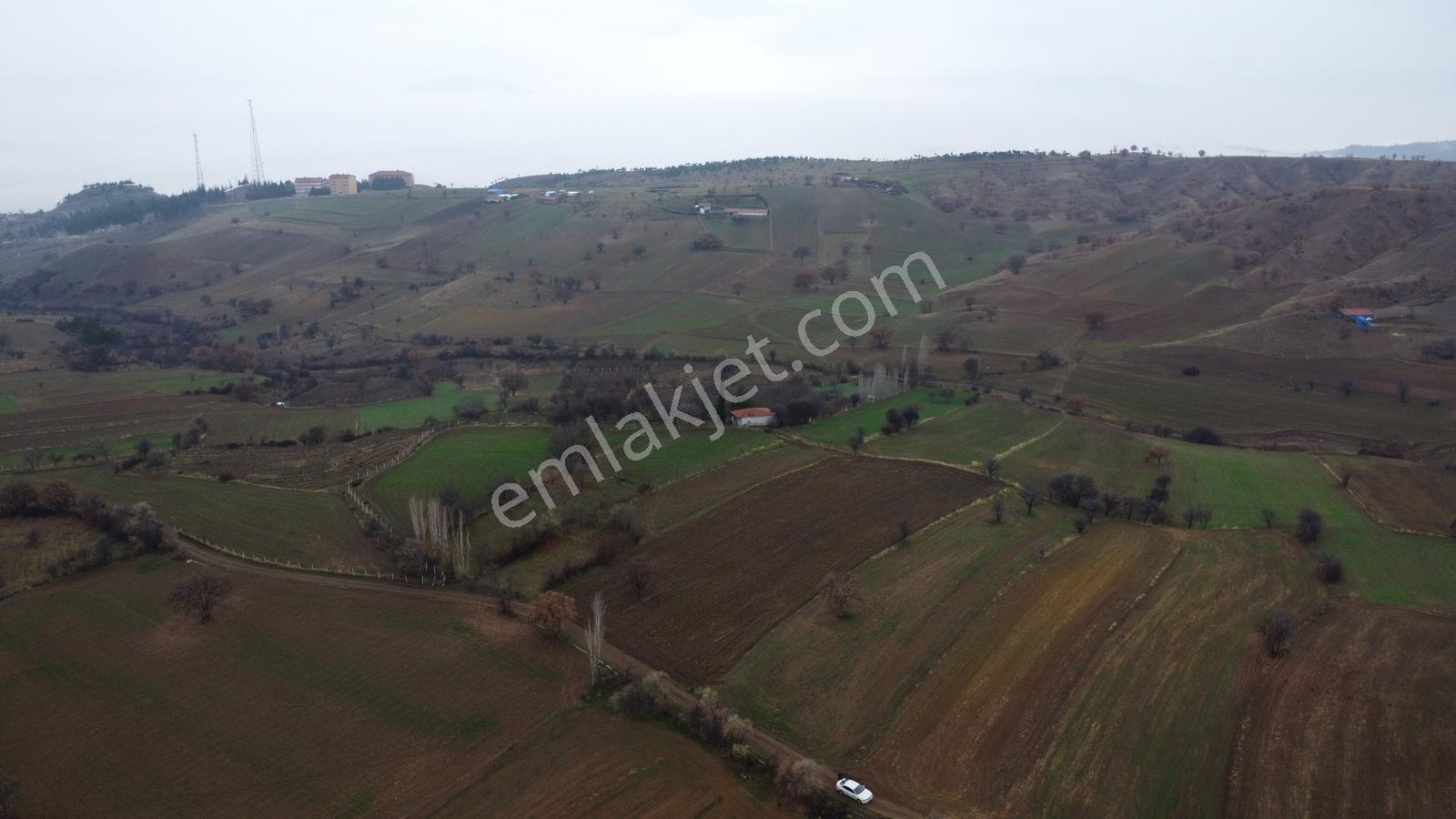 Çorum Laçin Narlı Köyünde 2166 Metre Resmi Yola Cephe Köye 900mt - Görsel 7