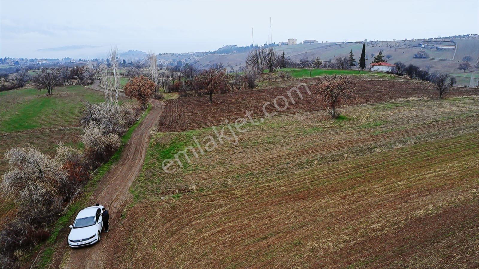 Çorum Laçin Narlı Köyünde 2166 Metre Resmi Yola Cephe Köye 900mt - Görsel 25