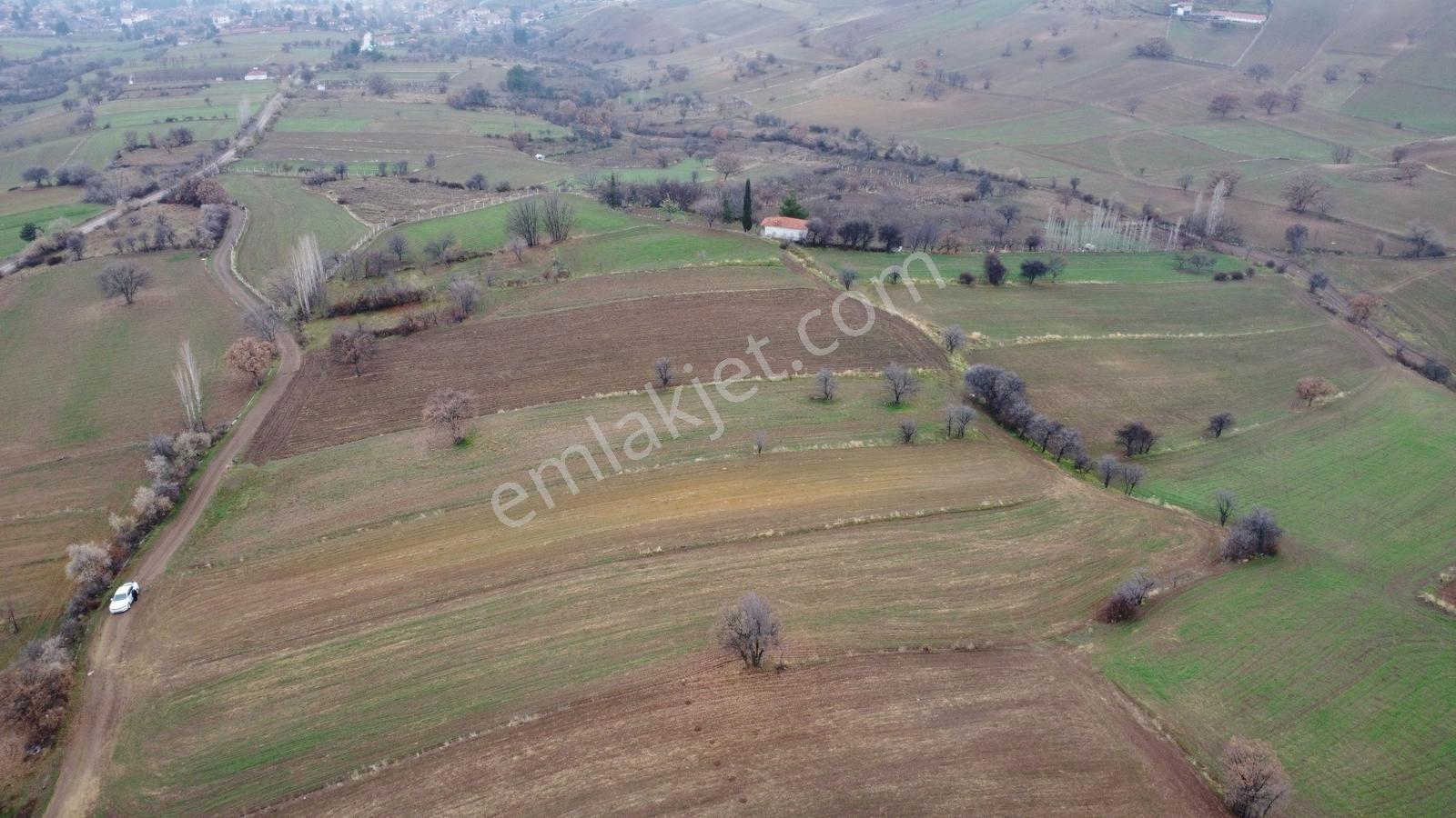Çorum Laçin Narlı Köyünde 2166 Metre Resmi Yola Cephe Köye 900mt - Görsel 23