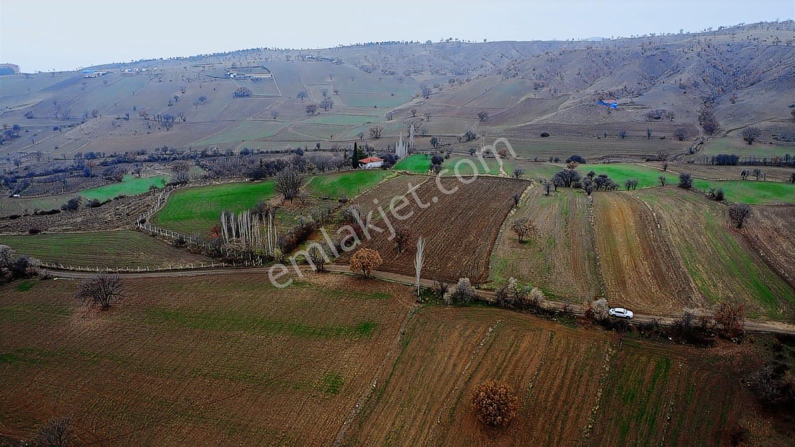 Çorum Laçin Narlı Köyünde 2166 Metre Resmi Yola Cephe Köye 900mt - Görsel 21