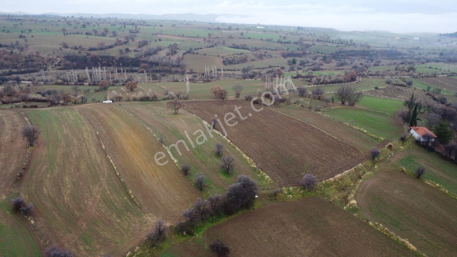Çorum Laçin Narlı Köyünde 2166 Metre Resmi Yola Cephe Köye 900mt - Görsel 27