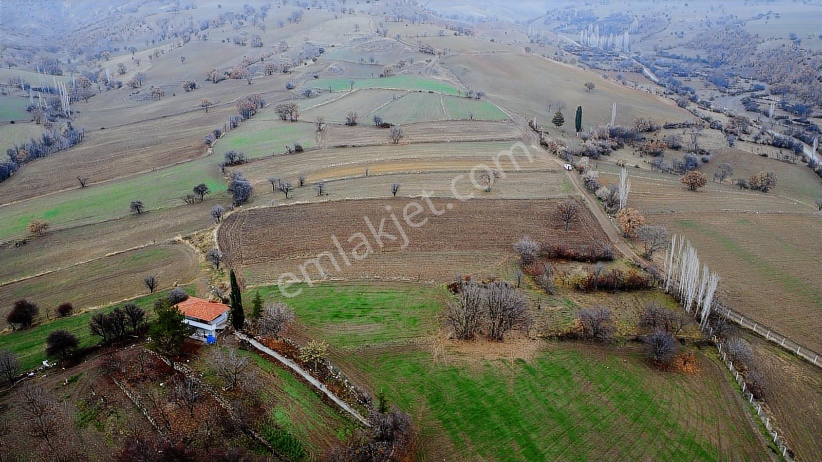 Çorum Laçin Narlı Köyünde 2166 Metre Resmi Yola Cephe Köye 900mt - Görsel 32