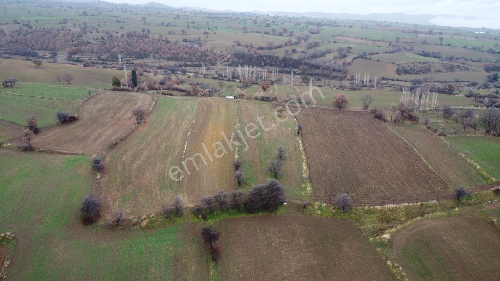 Çorum Laçin Narlı Köyünde 2166 Metre Resmi Yola Cephe Köye 900mt - Görsel 33