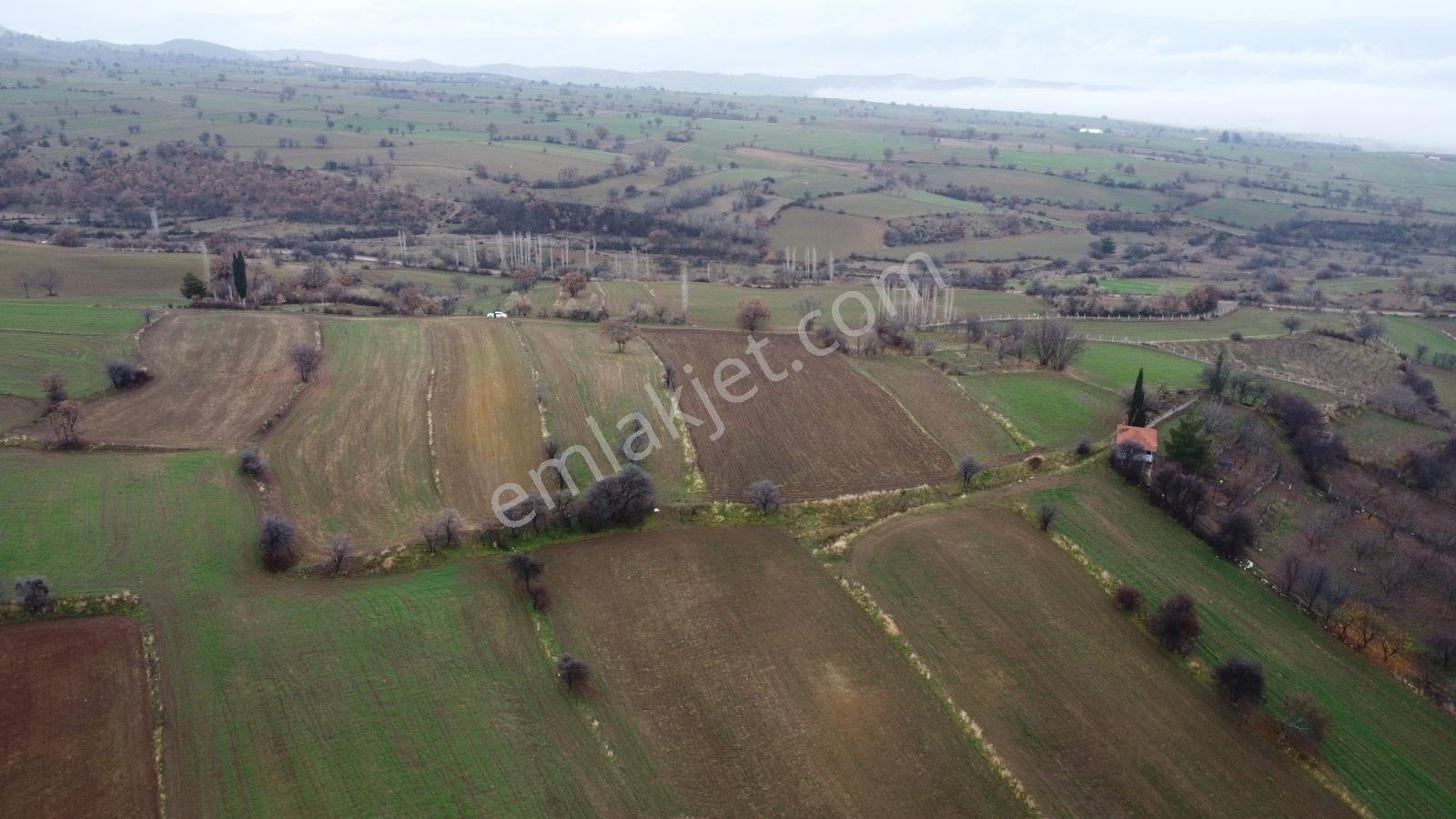 Çorum Laçin Narlı Köyünde 2166 Metre Resmi Yola Cephe Köye 900mt - Görsel 11