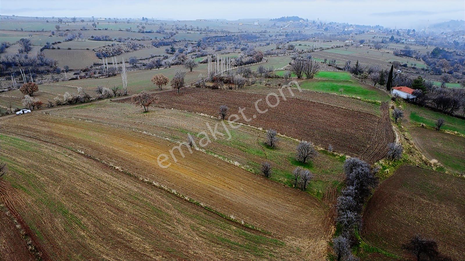 Çorum Laçin Narlı Köyünde 2166 Metre Resmi Yola Cephe Köye 900mt - Görsel 16