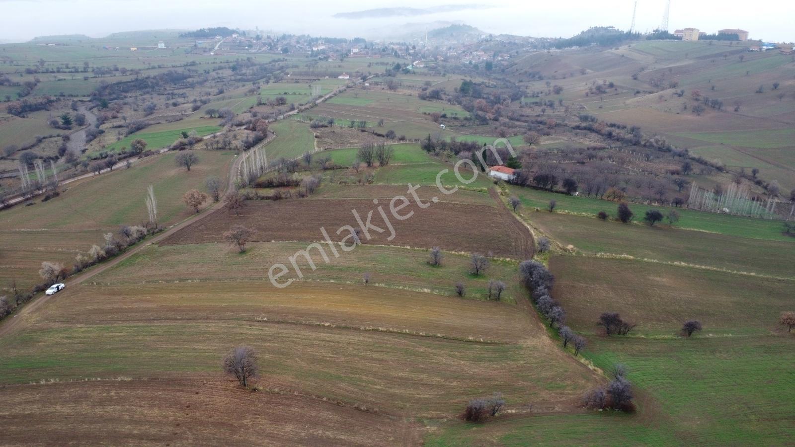 Çorum Laçin Narlı Köyünde 2166 Metre Resmi Yola Cephe Köye 900mt - Görsel 10