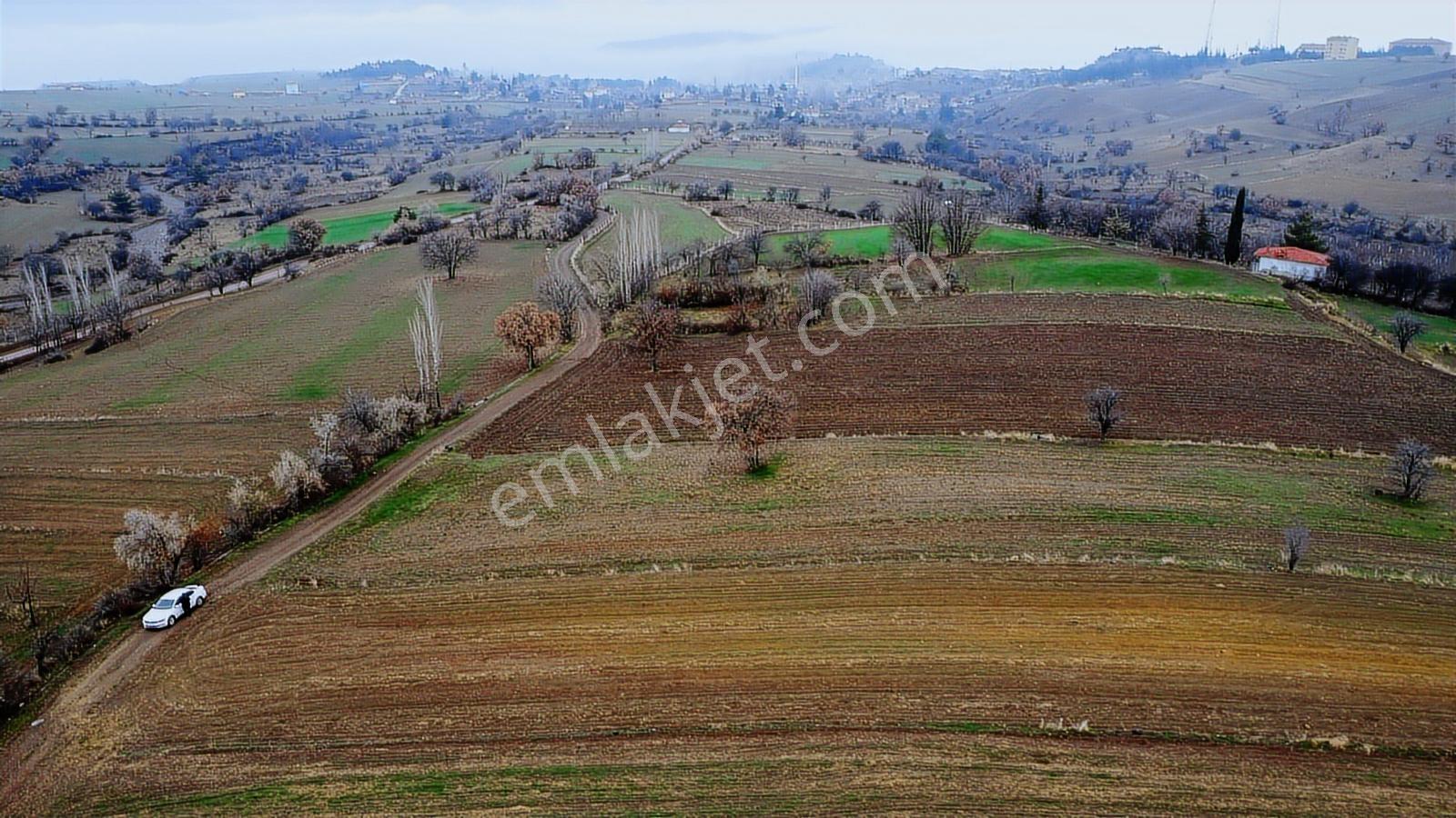 Çorum Laçin Narlı Köyünde 2166 Metre Resmi Yola Cephe Köye 900mt - Görsel 15