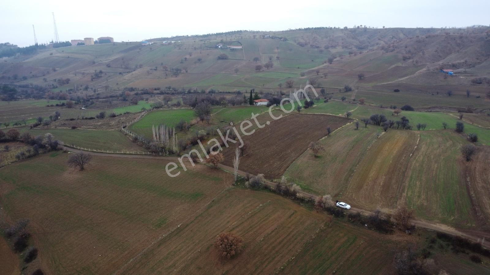 Çorum Laçin Narlı Köyünde 2166 Metre Resmi Yola Cephe Köye 900mt - Görsel 19