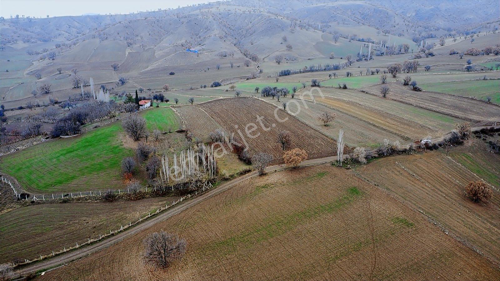 Çorum Laçin Narlı Köyünde 2166 Metre Resmi Yola Cephe Köye 900mt - Görsel 42
