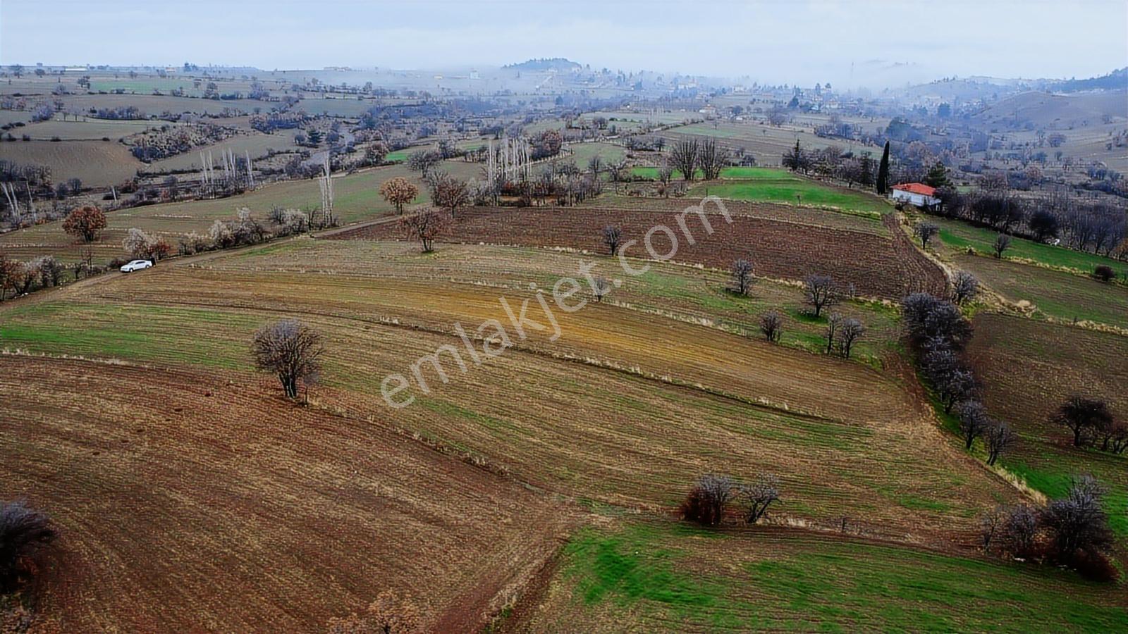 Çorum Laçin Narlı Köyünde 2166 Metre Resmi Yola Cephe Köye 900mt - Görsel 40