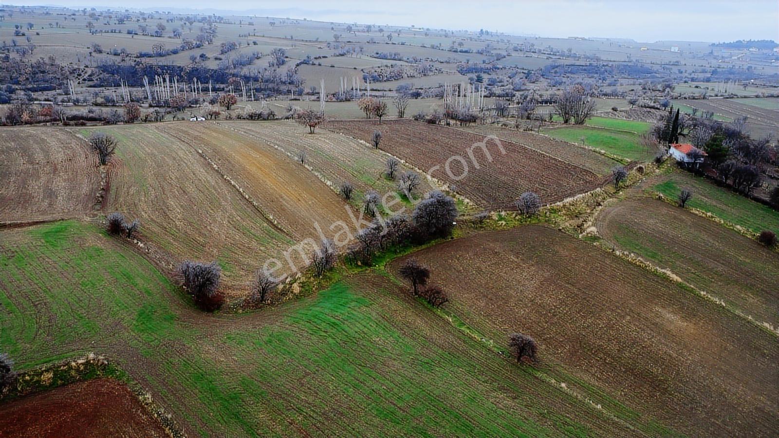 Çorum Laçin Narlı Köyünde 2166 Metre Resmi Yola Cephe Köye 900mt - Görsel 12
