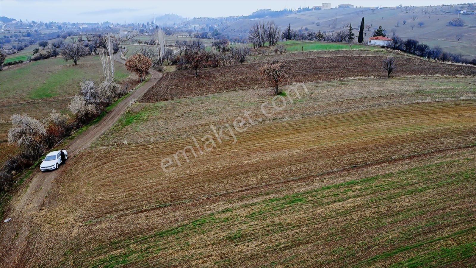 Çorum Laçin Narlı Köyünde 2166 Metre Resmi Yola Cephe Köye 900mt - Görsel 37