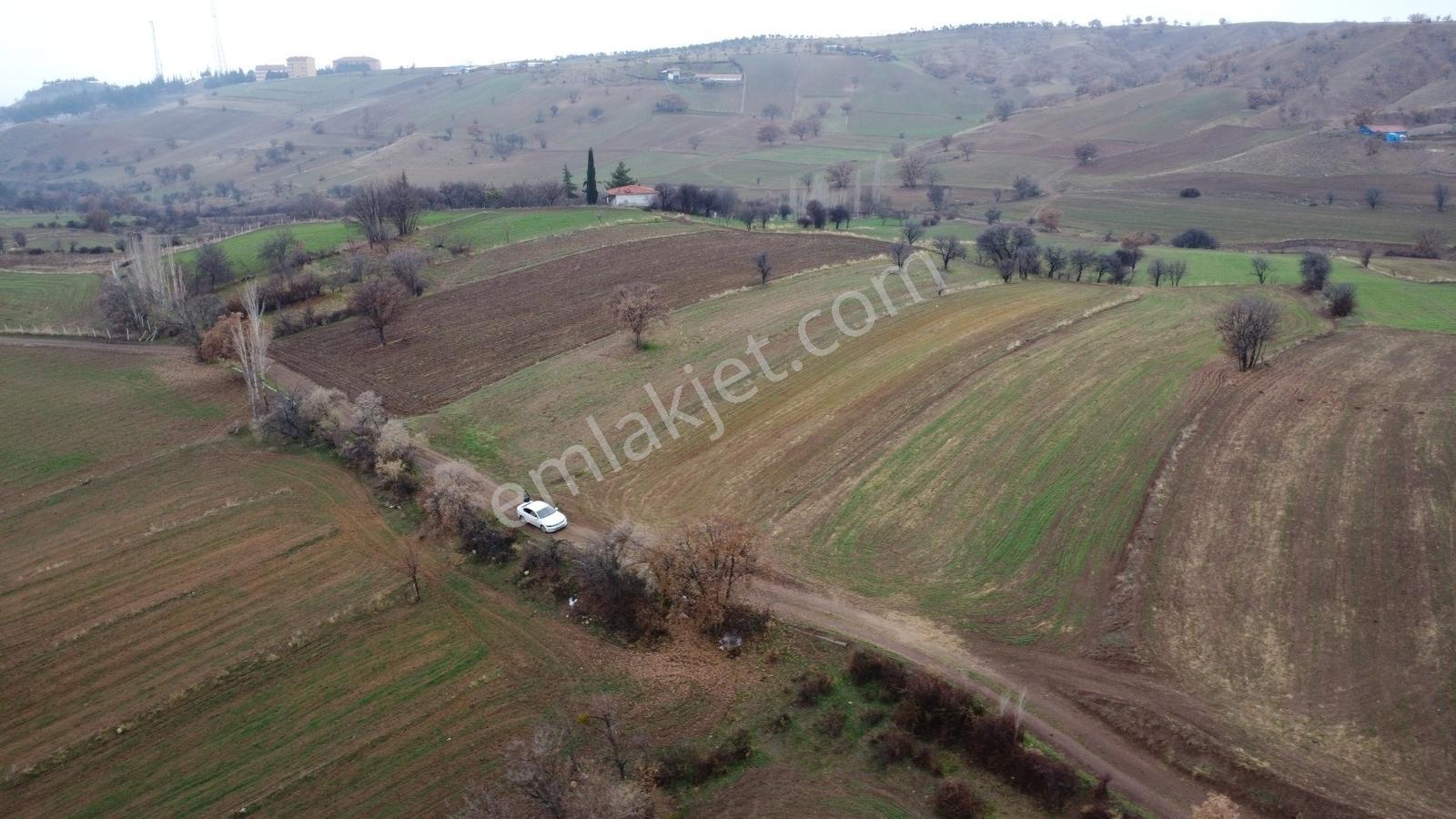 Çorum Laçin Narlı Köyünde 2166 Metre Resmi Yola Cephe Köye 900mt - Görsel 31