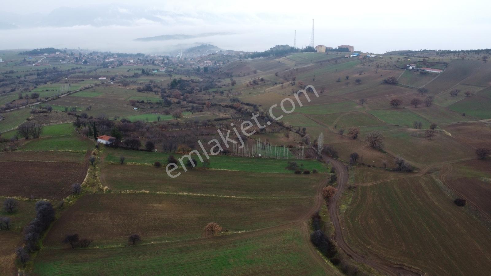 Çorum Laçin Narlı Köyünde 2166 Metre Resmi Yola Cephe Köye 900mt - Görsel 17