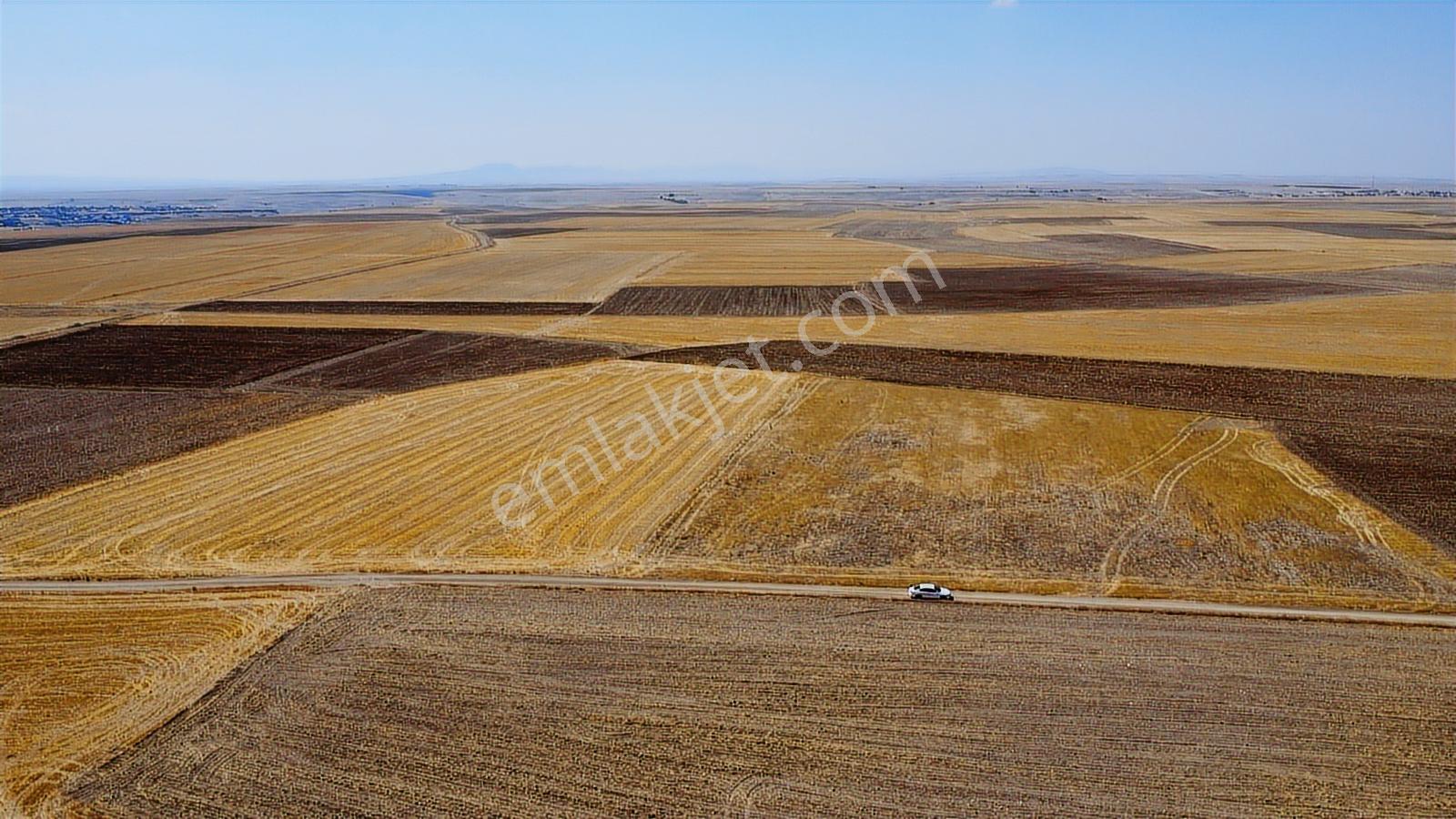 Nevşehir Kozaklı Gerce Köyünde Resmi Yola Cephe 11750m2 Arazi - Görsel 40