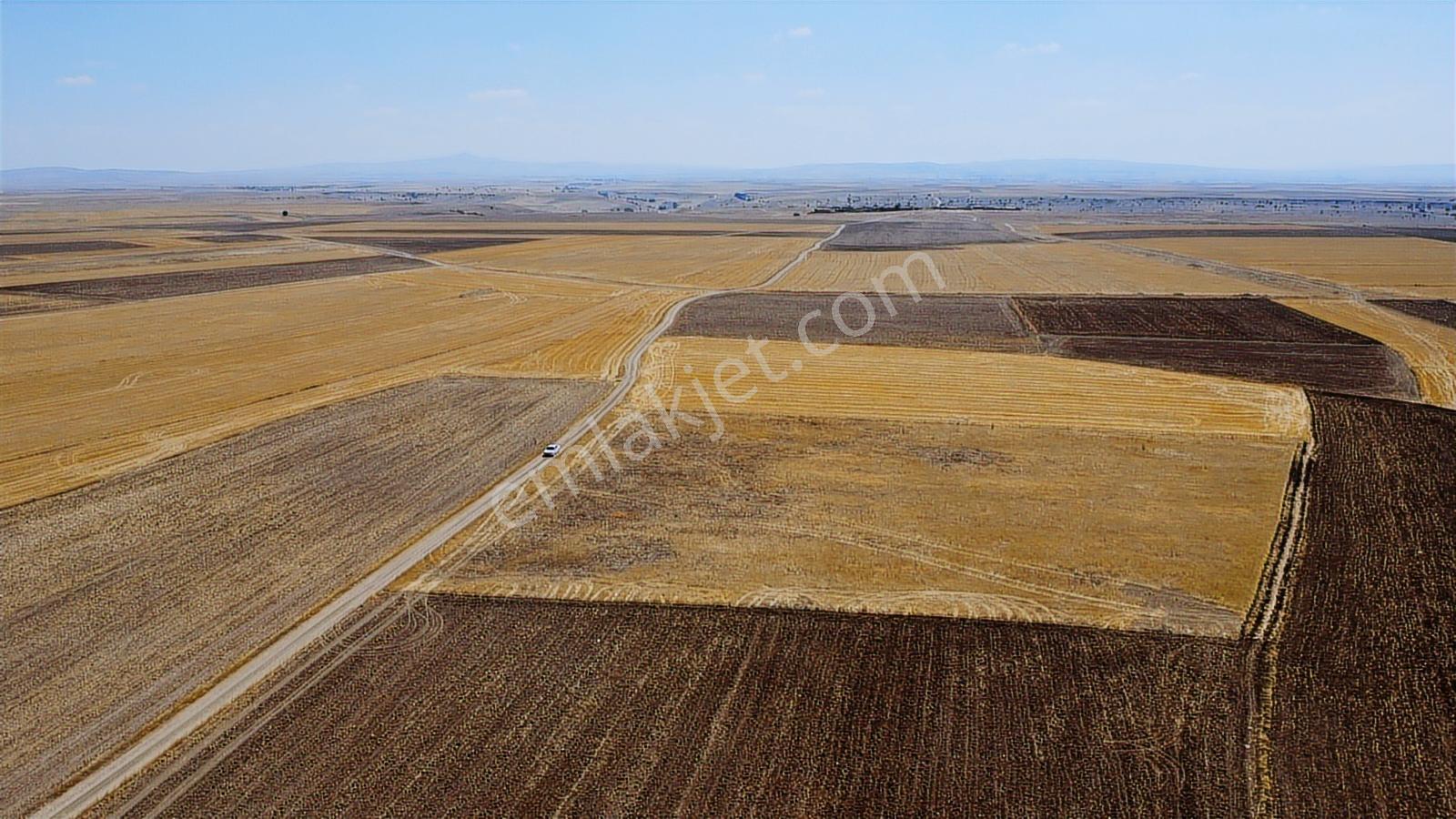Nevşehir Kozaklı Gerce Köyünde Resmi Yola Cephe 11750m2 Arazi - Görsel 17