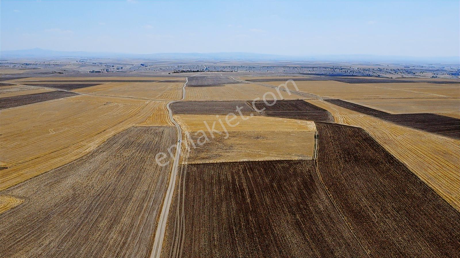 Nevşehir Kozaklı Gerce Köyünde Resmi Yola Cephe 11750m2 Arazi - Görsel 5