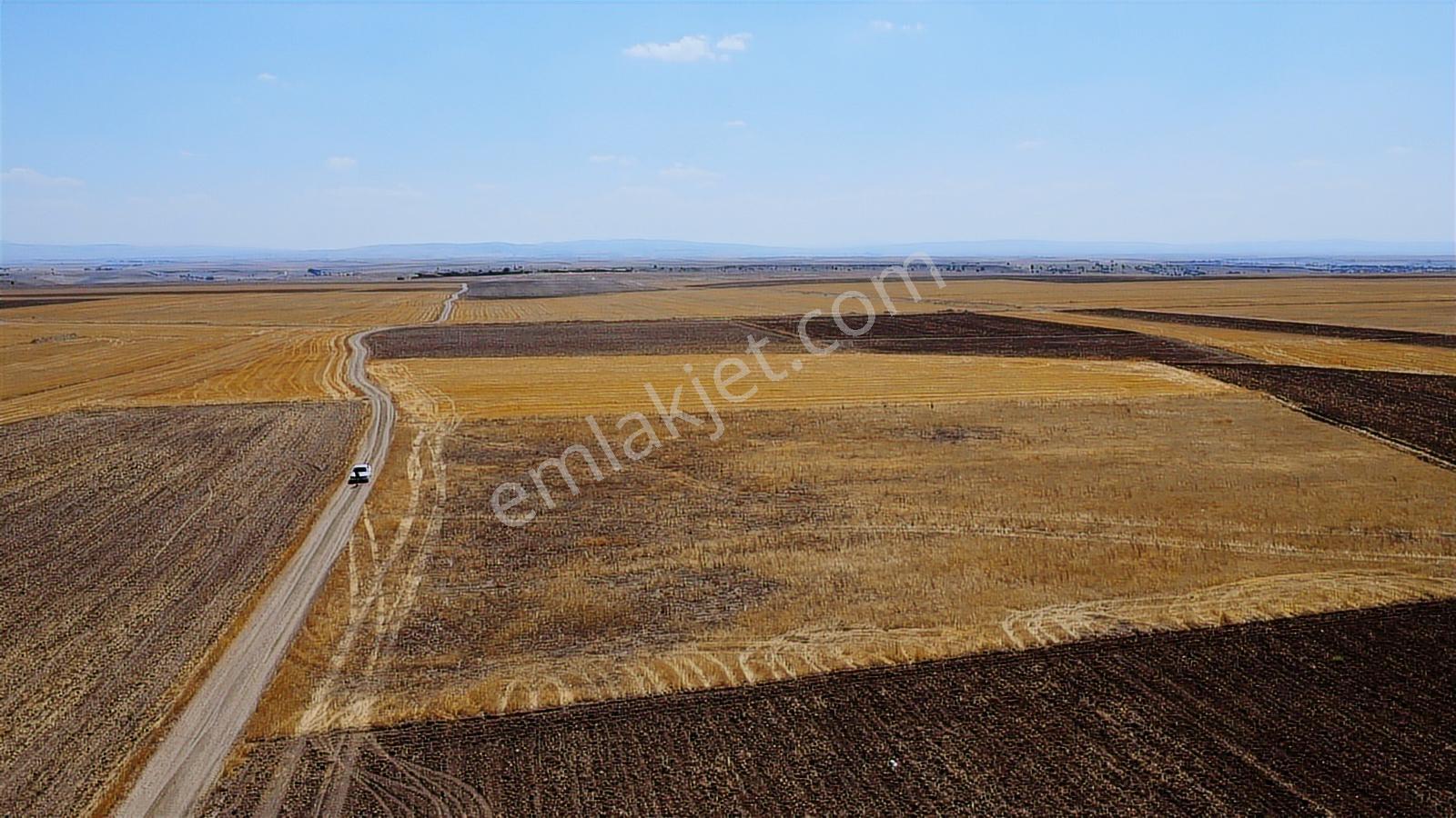 Nevşehir Kozaklı Gerce Köyünde Resmi Yola Cephe 11750m2 Arazi - Görsel 43