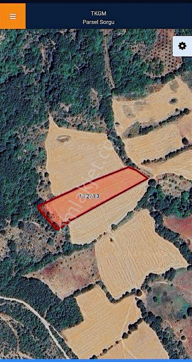Balıkesir Susurluk Günaydın Köyü 7693 M2 Köye Merkeze Çok Yakın