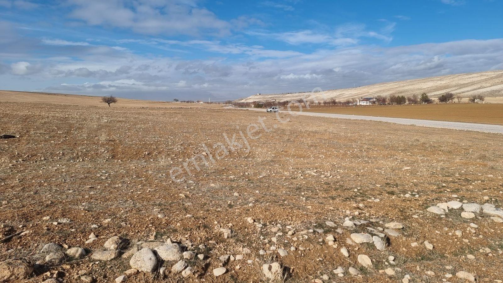 Karaman Merkez Barutkavuran Asfalta Cepheli 7345 Metre Bağ Yeri - Görsel 3