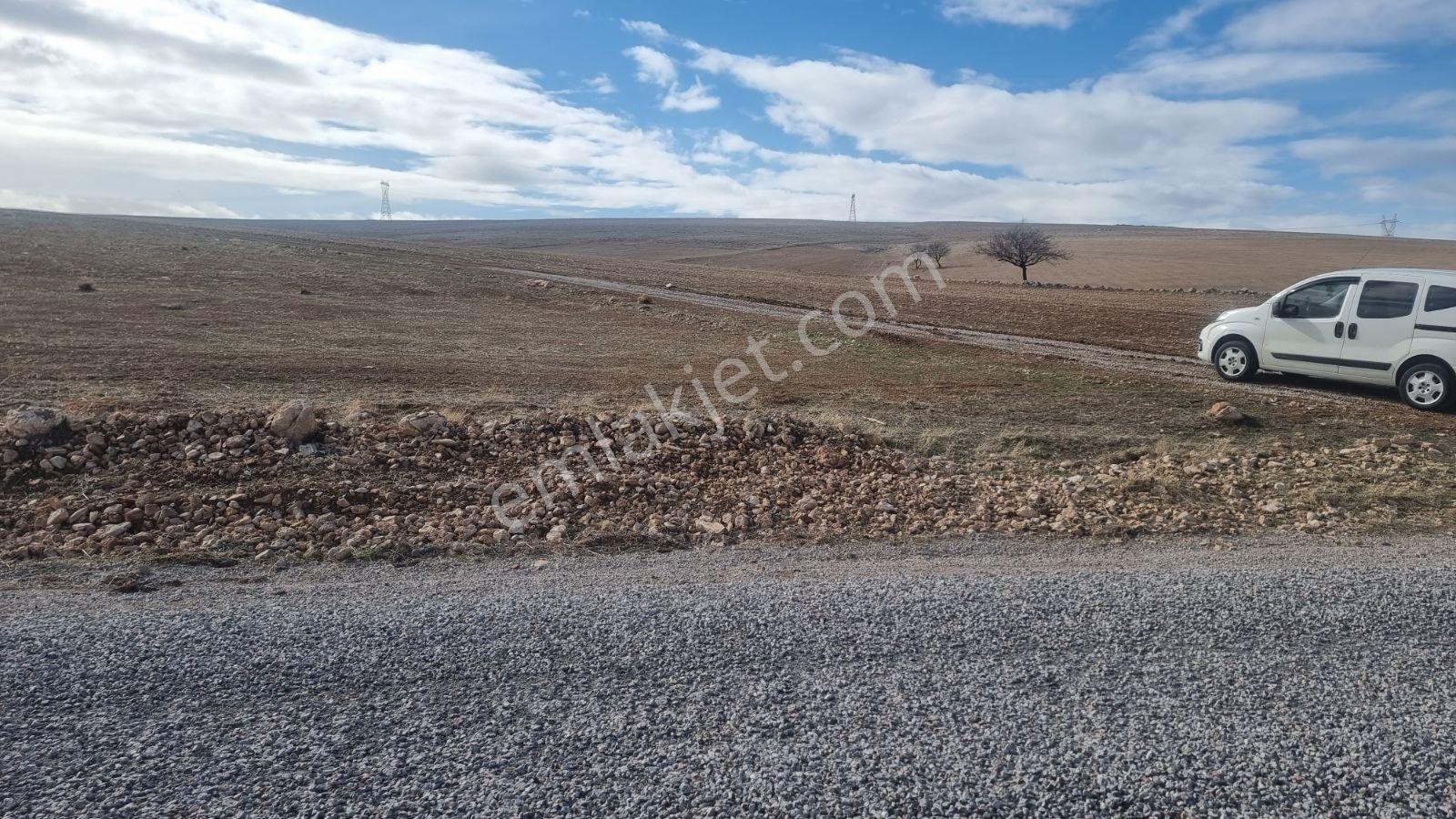 Karaman Merkez Barutkavuran Asfalta Cepheli 7345 Metre Bağ Yeri - Görsel 14