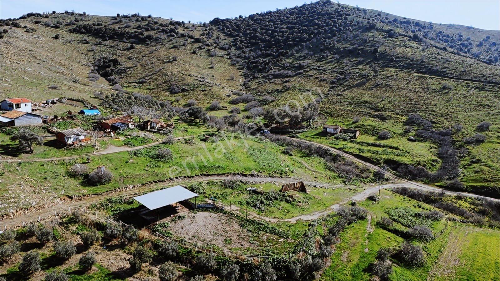İzmir Ödemiş Eselli Mahallesi 492 Metre 2 Kat İmarlı Arsa - Görsel 7
