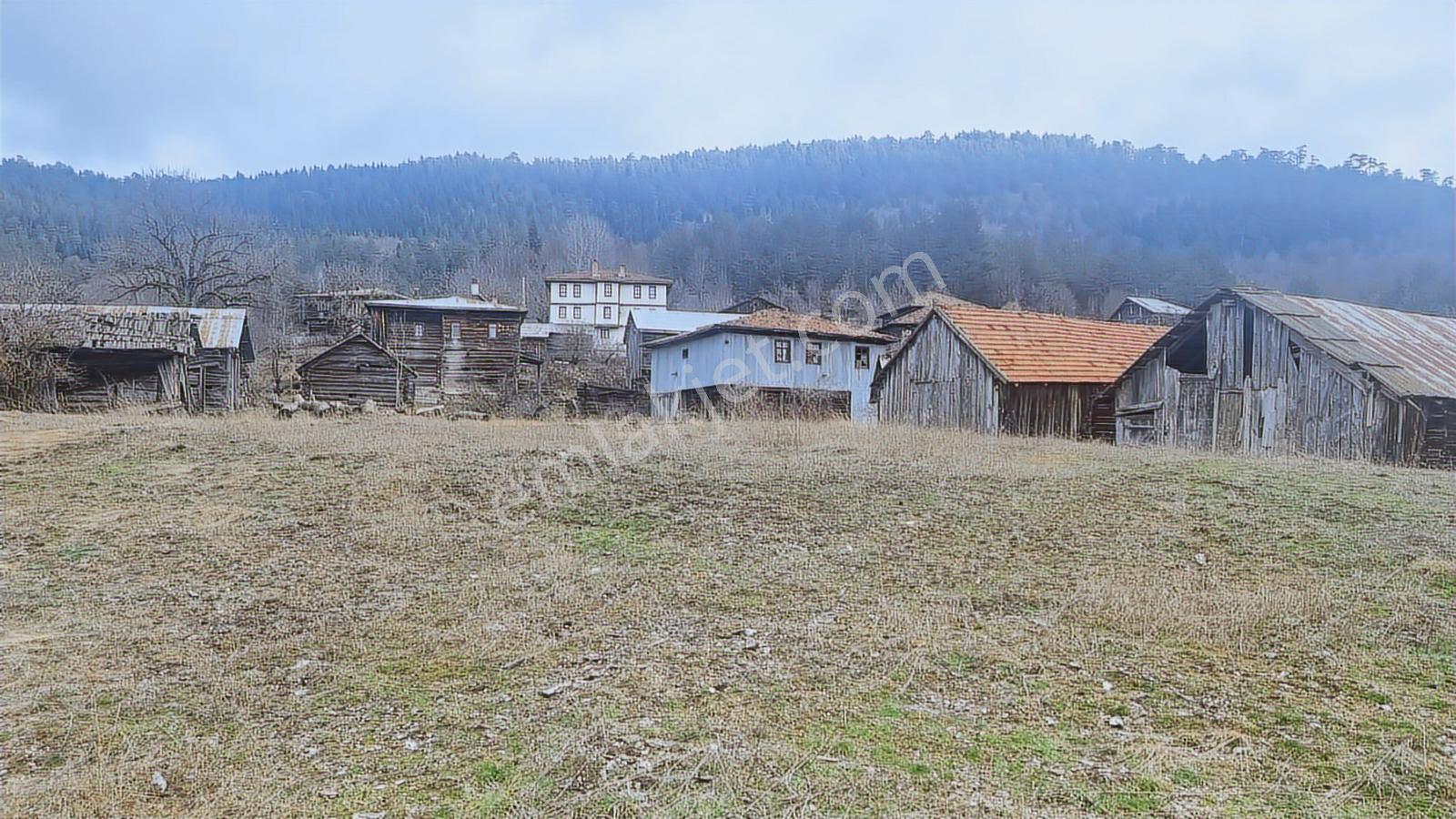 Köy İçi İmarlı 1008 M2 Arsa Fırsat Fiyata - Görsel 15