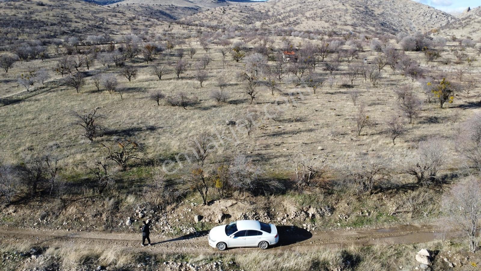 Isparta Senirkent Onaltıhaziran Mahallesinde 2029m Üzüm Bağ - Görsel 19