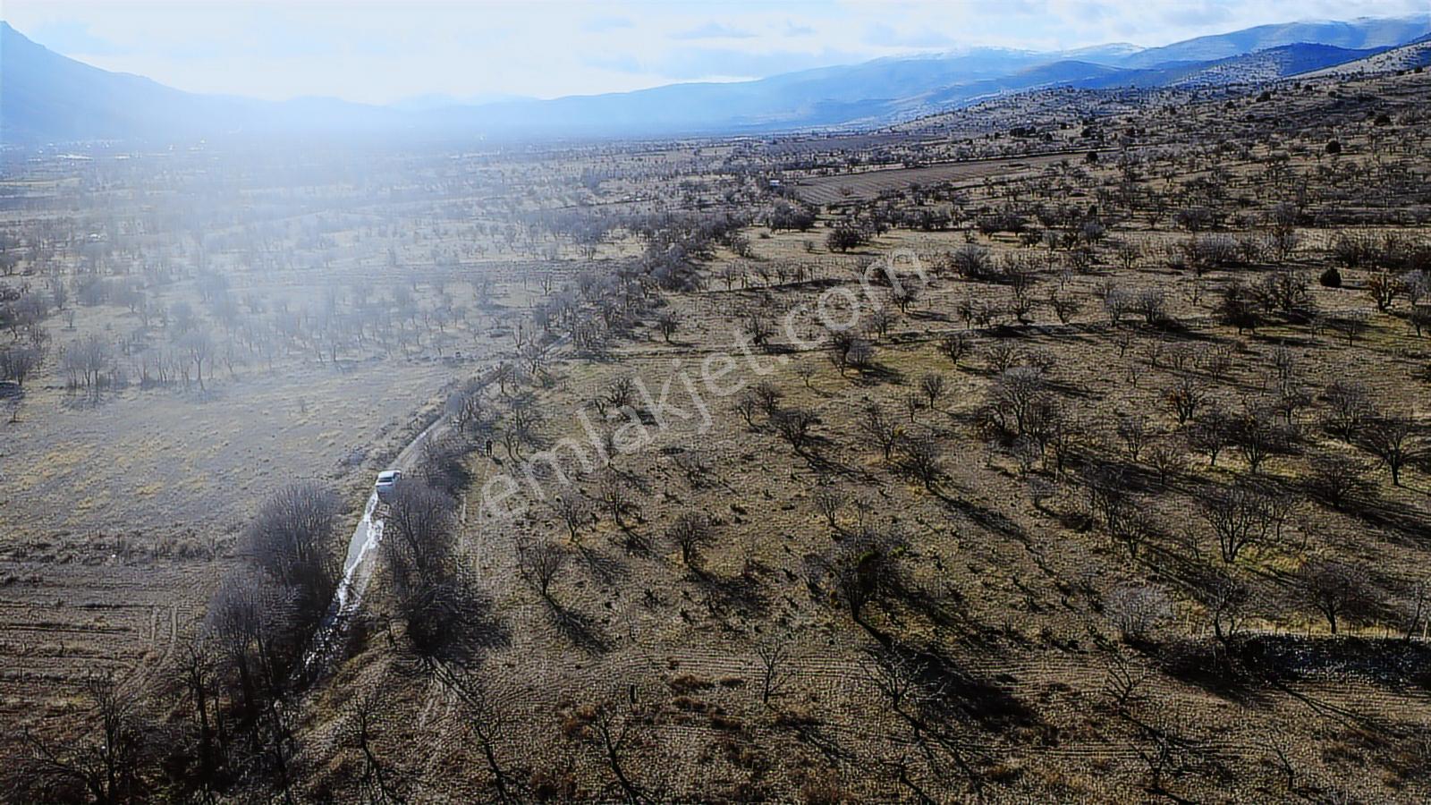 Isparta Senirkent Onaltıhaziran Mahallesinde 2029m Üzüm Bağ - Görsel 16