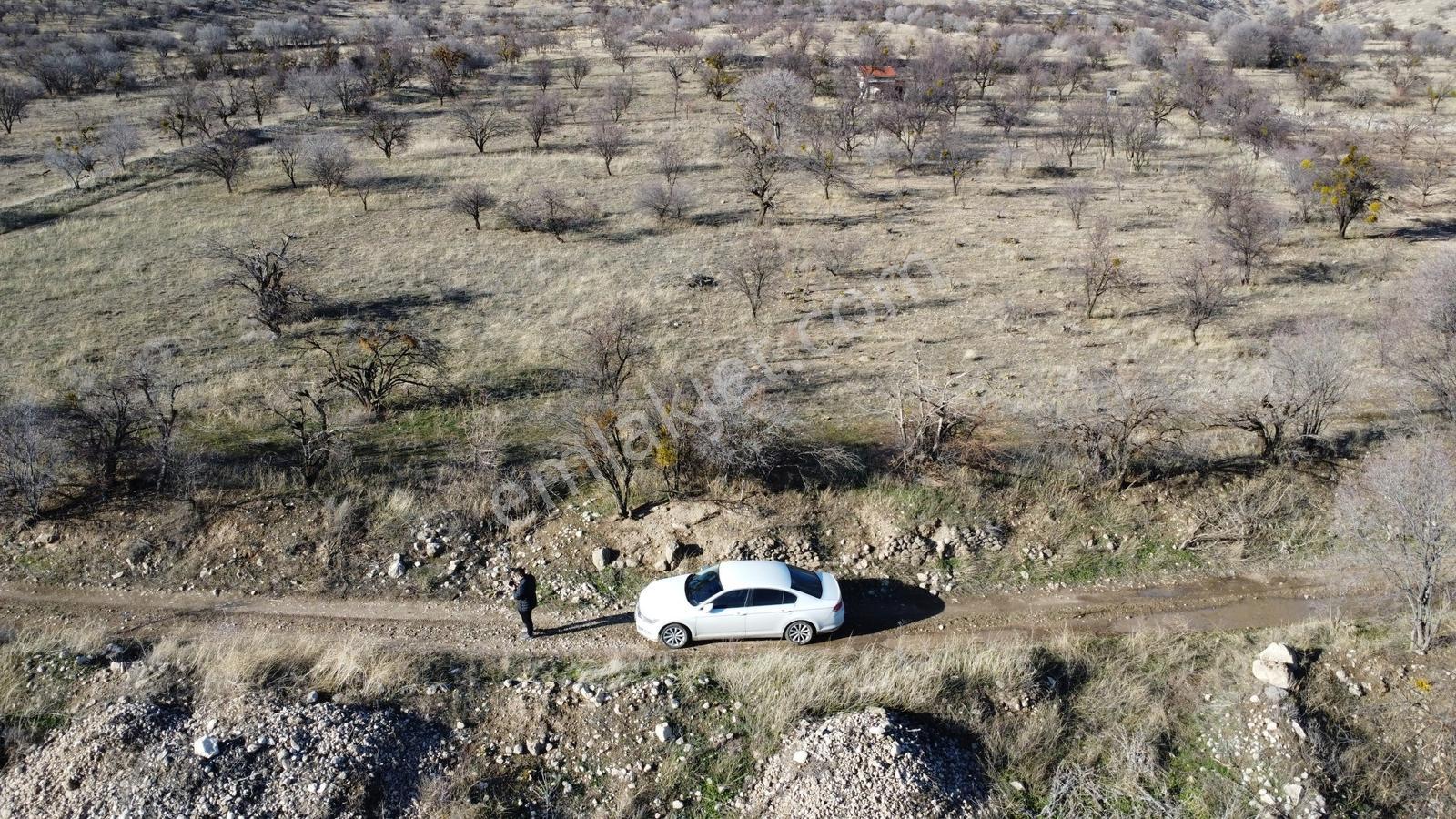 Isparta Senirkent Onaltıhaziran Mahallesinde 2029m Üzüm Bağ - Görsel 13