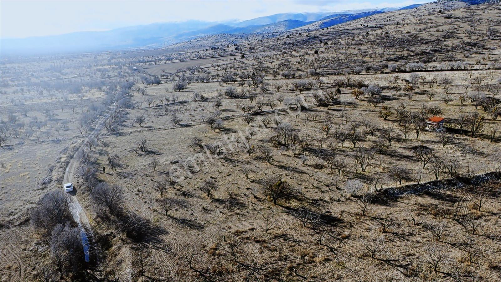 Isparta Senirkent Onaltıhaziran Mahallesinde 2029m Üzüm Bağ - Görsel 32