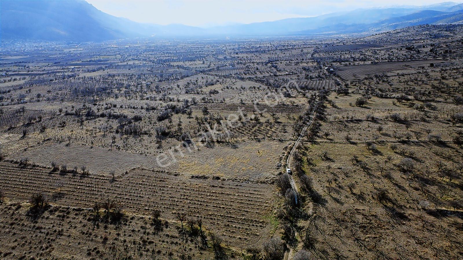 Isparta Senirkent Onaltıhaziran Mahallesinde 2029m Üzüm Bağ - Görsel 39