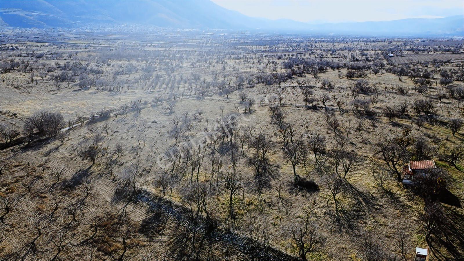 Isparta Senirkent Onaltıhaziran Mahallesinde 2029m Üzüm Bağ - Görsel 23