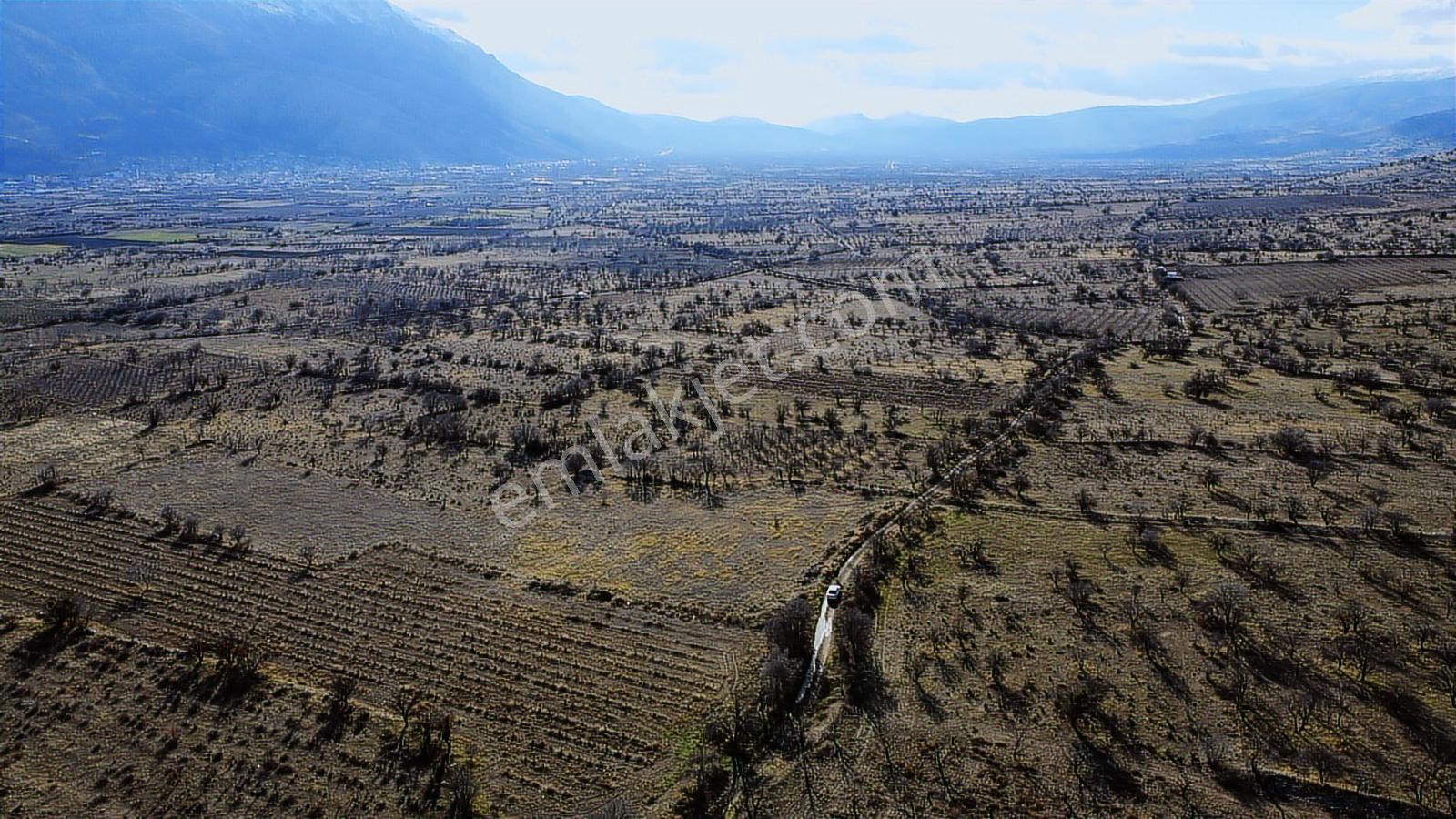 Isparta Senirkent Onaltıhaziran Mahallesinde 2029m Üzüm Bağ - Görsel 36