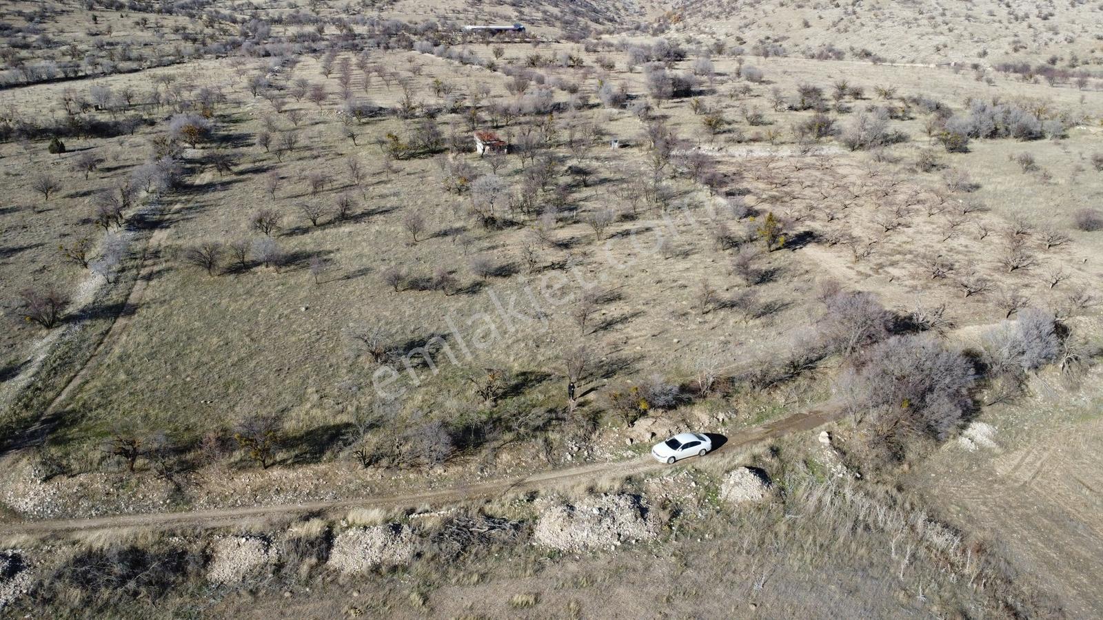 Isparta Senirkent Onaltıhaziran Mahallesinde 2029m Üzüm Bağ - Görsel 15
