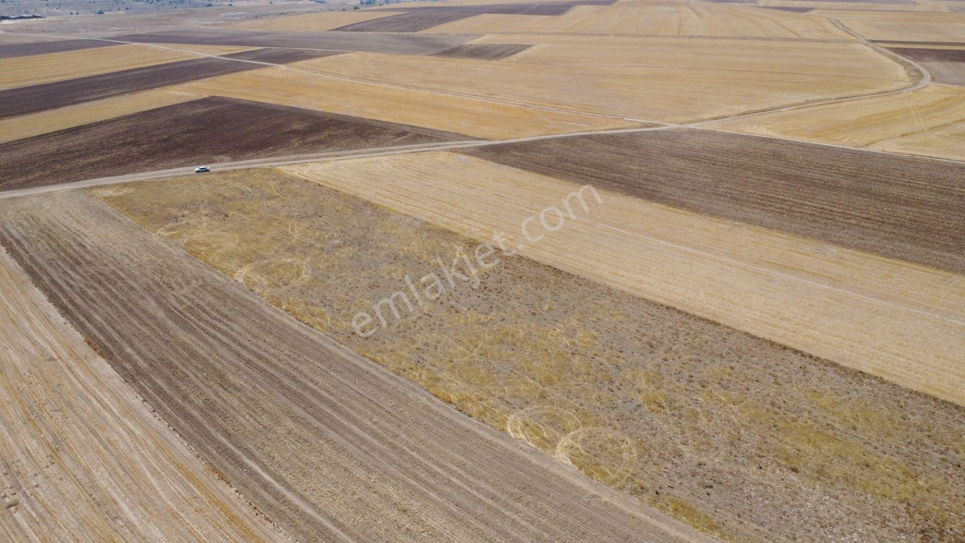 Nevşehir Kozaklı Gerce Köyünde Resmi Yola Cephe 16280 M2 Arazi - Görsel 25