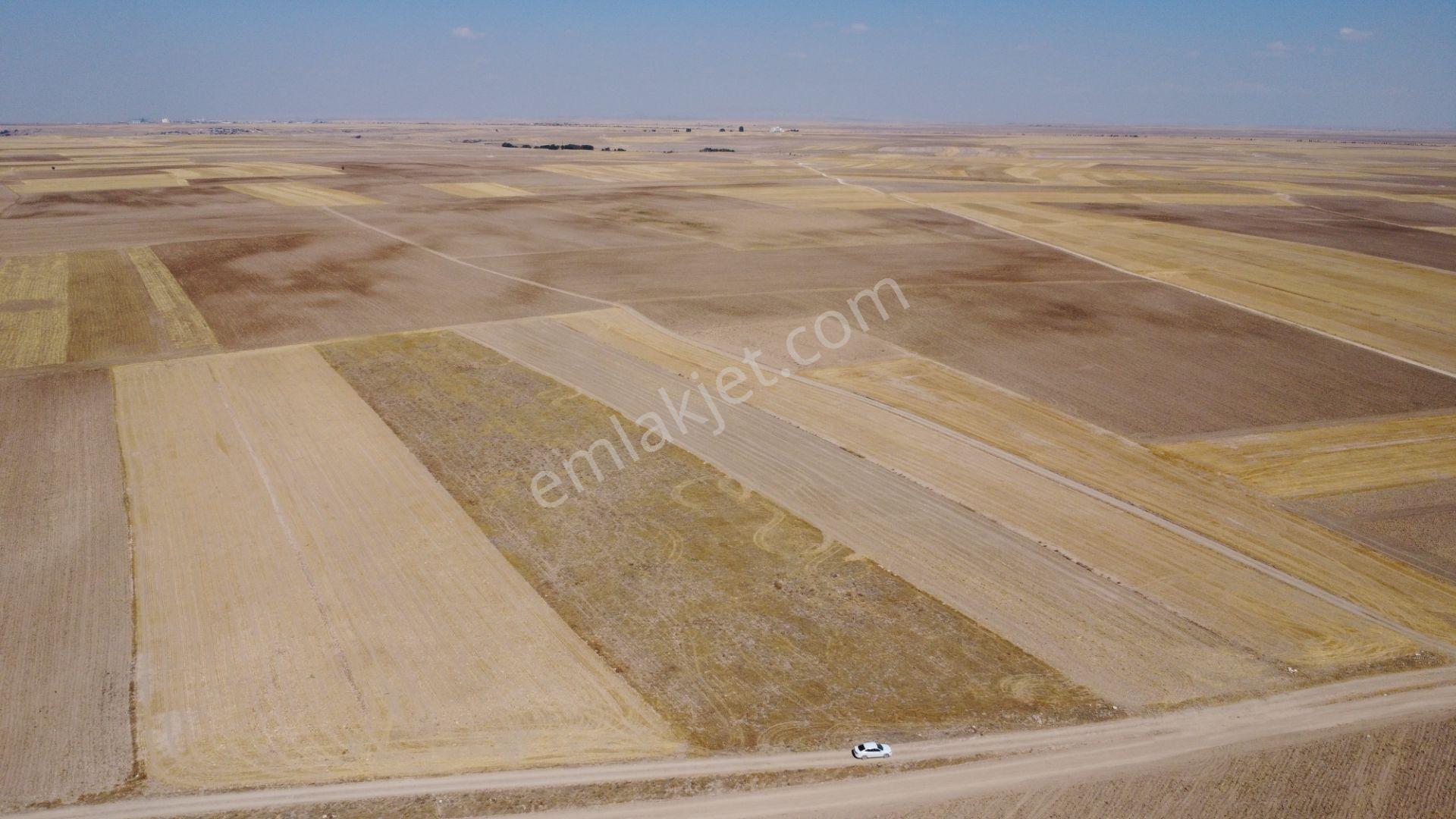 Nevşehir Kozaklı Gerce Köyünde Resmi Yola Cephe 16280 M2 Arazi - Görsel 12