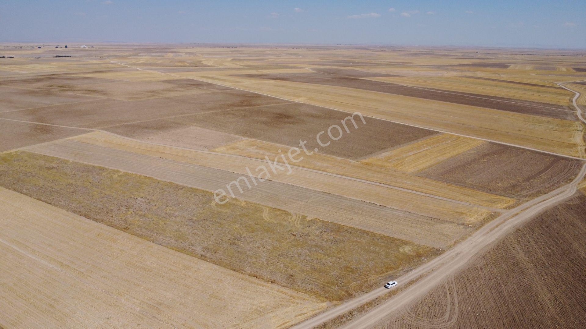 Nevşehir Kozaklı Gerce Köyünde Resmi Yola Cephe 16280 M2 Arazi - Görsel 10