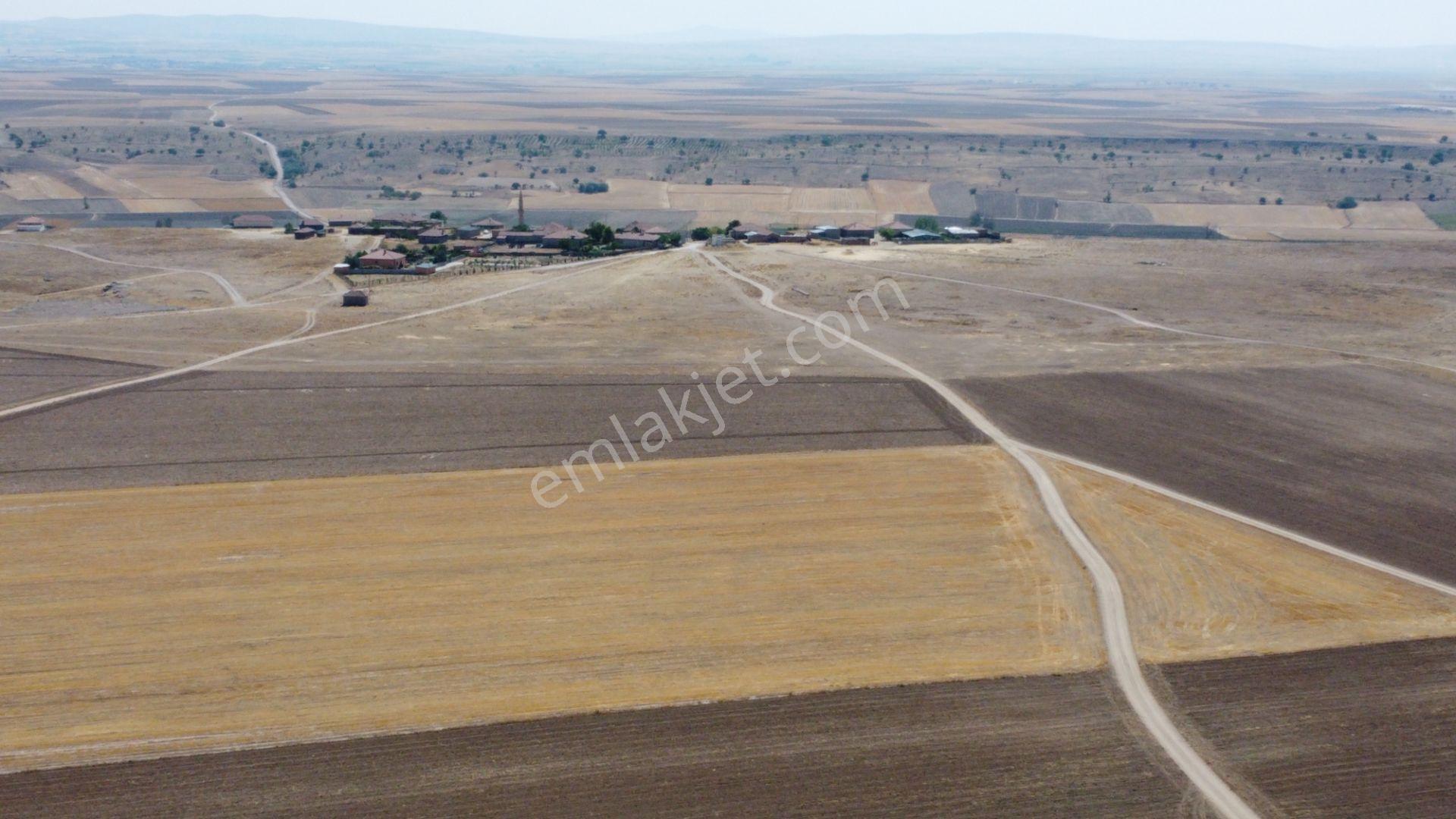 Nevşehir Kozaklı Gerce Köyünde Resmi Yola Cephe 16280 M2 Arazi